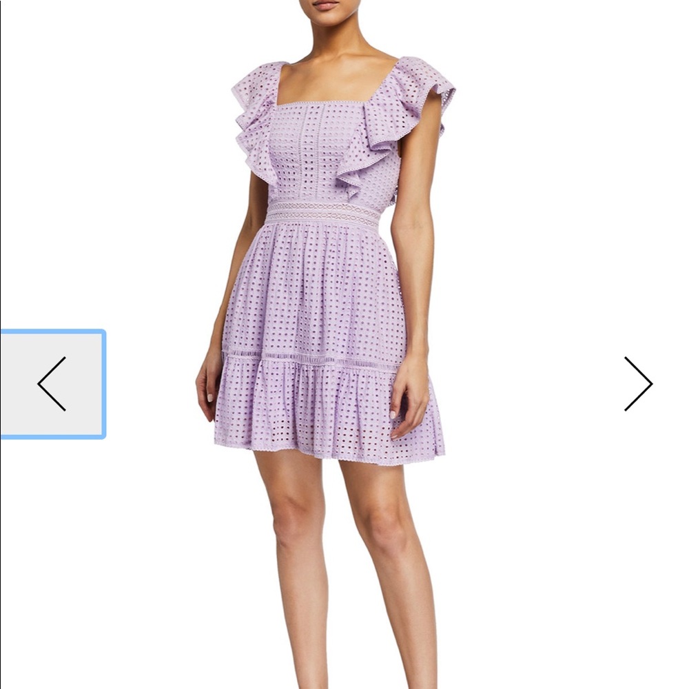 Alice + Olivia Remada Embroidered Ruffle Dress - 2